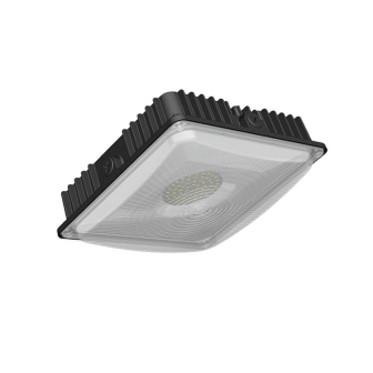 (CPSW) LED Canopy Lights